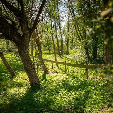 Zacisze Nad Sanna * Annopol (Krasnik)